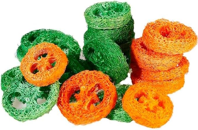 15 Pcs Fruit Flavored Loofah Slices Rabbit Chew Toys Guinea Pig Chew Toys Small Pet Chews Bunny Toys for Teeth Rabbit Toys-PawvioPets