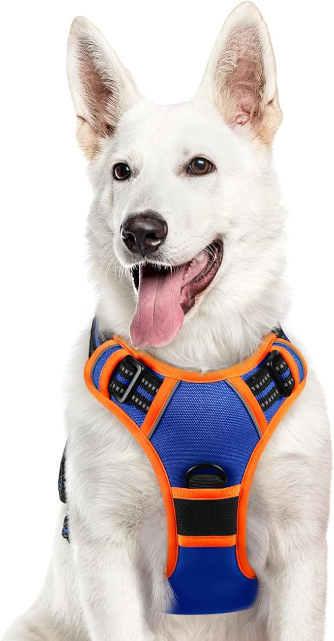 Eagloo Dog Harness for Large Dogs, No Pull Service Vest with Reflective Strips and Control Handle, Adjustable and Comfortable for Walking, No Choke Pet Harness with 2 Metal Rings, Blue & Orange, XL-PawvioPets