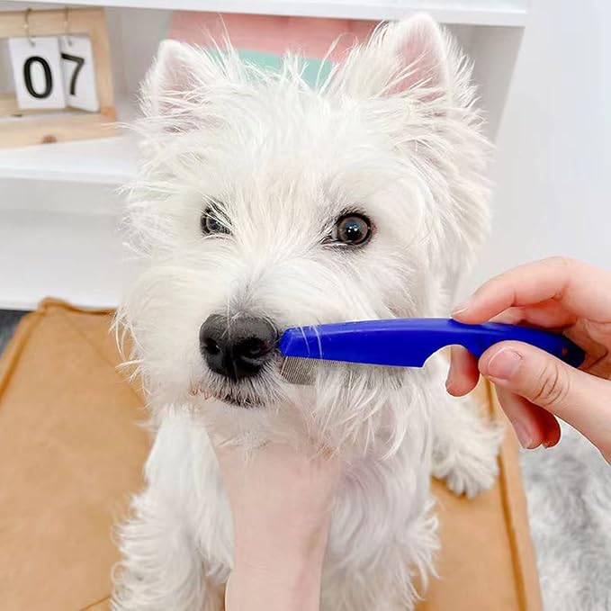 Flea Comb Lice Comb Cat & Dog Pet Grooming Combs Tear Stain Remover Remove Mucus Crust 2-in-1 Metal Round Smooth Teeth Comb Remove Floating Hair Tangles Dander (blue)-PawvioPets