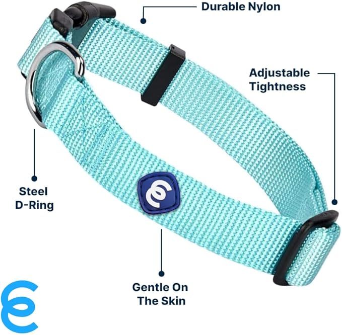 Blueberry Pet Essentials X-Small Dog Collar in Mint Blue | Adjustable & Eco-Friendly Durable Nylon Strap | Classic Collar for X-Small Dogs, Boy & Girl Pets-PawvioPets