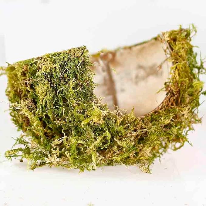 Coconut Hamster Hideout Hamster House Gerbil Cage for Small Animals with a Bundle of Apple Sticks a Carrot (Green)-PawvioPets