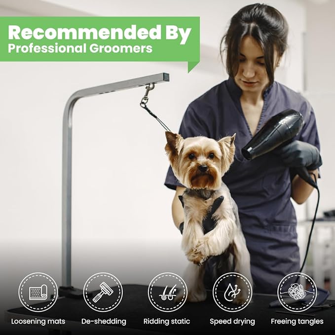 Best Shot Scentament Spa Seasonal Body and Facial Wash, Tearless Shampoo, Hypoallergenic Body Wash, Removes Tear Stains, Hot Toddy, 16 Oz.-PawvioPets