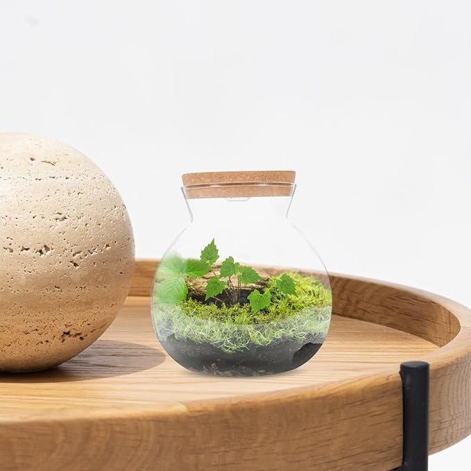 Fish Bowl with LED Light - Small Betta Fish Tank with LED Lighting and Lid Glass Fish Bowl Small Aquarium for DIY Landscape-PawvioPets