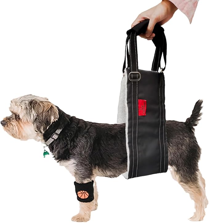 Dog Lift Harness - Adjustable Sling for Rear Legs with Soft Support for Senior, Injured, Disabled Dogs After ACL Surgery - Helping Pets with Canine Aid and Rehab Support (M)-PawvioPets