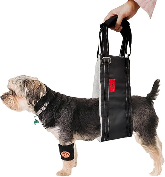 Dog Lift Harness - Adjustable Sling for Rear Legs with Soft Support for Senior, Injured, Disabled Dogs After ACL Surgery - Helping Pets with Canine Aid and Rehab Support (M)-PawvioPets