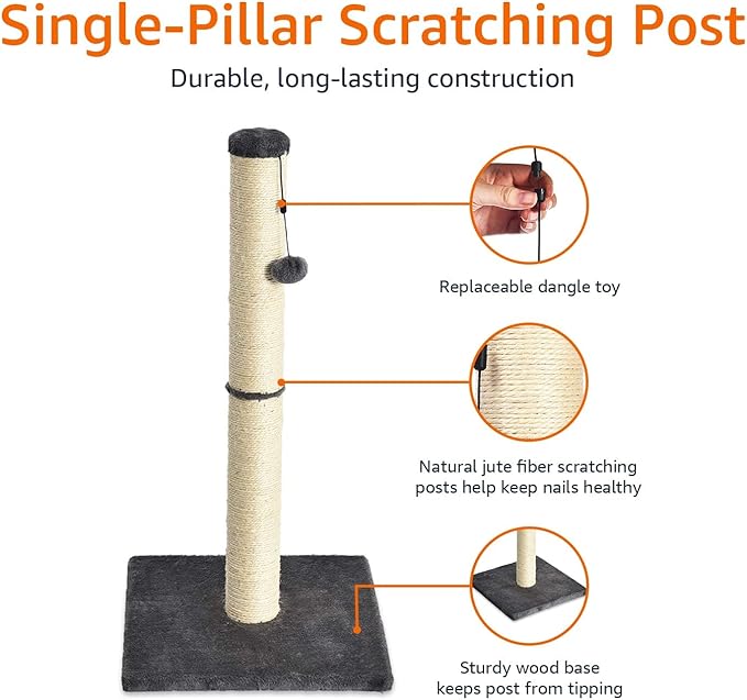 Amazon Basics Cat Scratcher - Indoor Classic Single Cat & Kittens Scratching Post, Medium (31.5"H) - Grey-PawvioPets