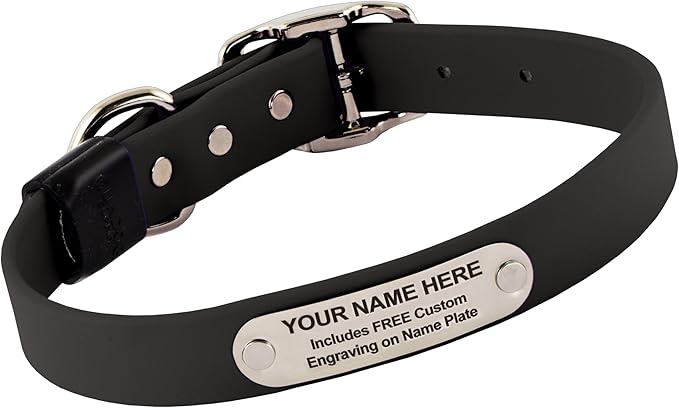 Biothane Custom Dog Collar – Waterproof, Stink-Proof Personalized Collar with Name & Phone Number – Durable, Many Sizes and Colors – Assembled in USA (Black)-PawvioPets