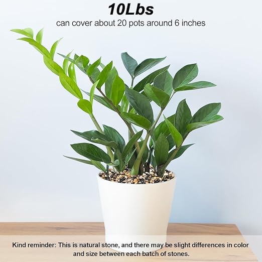 Fish Tank Rocks,Virekm River Rocks, Decorative Ornamental Pebbles Garden Landscaping Stones Gravel Filler for Home Decoration Flower Bed Fish Tank Plants Vases Succulents (10 Pounds)-PawvioPets