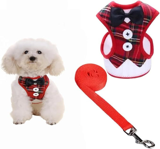 Dog Tuxedo for Wedding, Formal Pet Suit with Bow Tie and Leash, Adjustable Dog Costume for Small Medium Large Dogs, Birthday Christmas Halloween Party Apparel, M（8-14LB）-PawvioPets