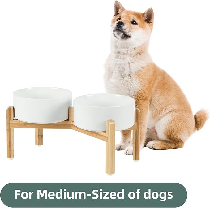 Ceramic Raised Double Bowls Set with Stand, Food & Water Bowls for Medium Breed Dogs, Weighted Dog Dishes, Pet Bowl(7.3'',41OZ, White)-PawvioPets