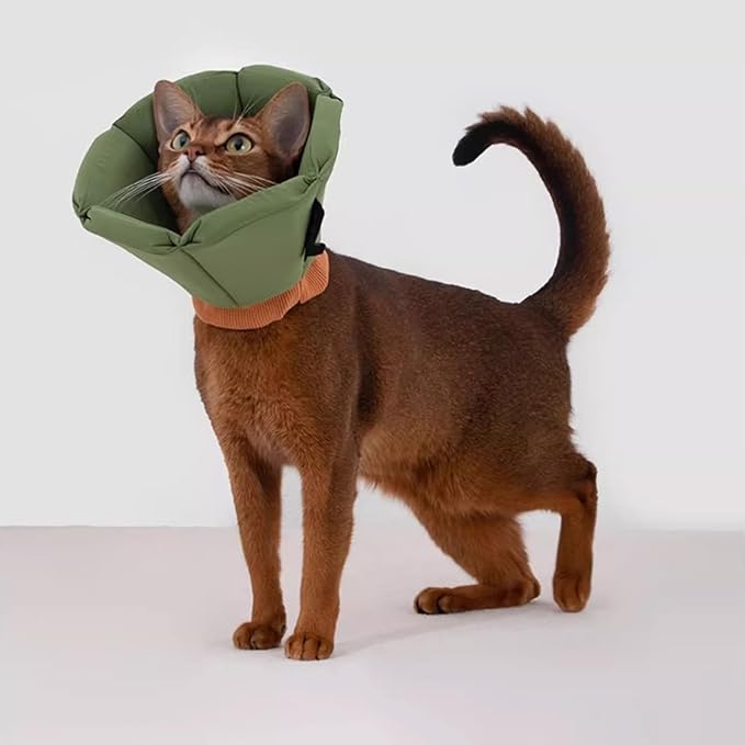 Cat Cone Collar - Soft Waterproof Elizabethan for Cats, Cute Green Flower Anti-Lick Recovery Collar, Adjustable Healing Collar for Wound Care & Surgery，S-PawvioPets