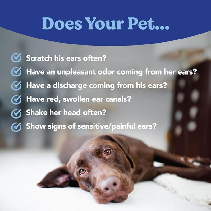 ANGELS’ EYES Zinc-Otic Ear Relief Treatment for Dogs and Cats Soothe Ear Infections Calm Itchy Inflamed Ears Natural BA and Zinc Formula 1 Ounce-PawvioPets