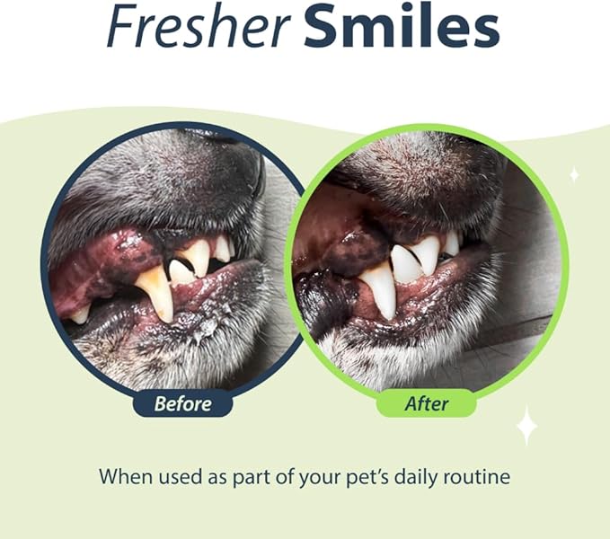 Dental Fresh Water Additive for Cats, Original Formula, 8 oz – Cat Breath Freshener – Products for Cats to Help Overall Cat Dental Health-PawvioPets