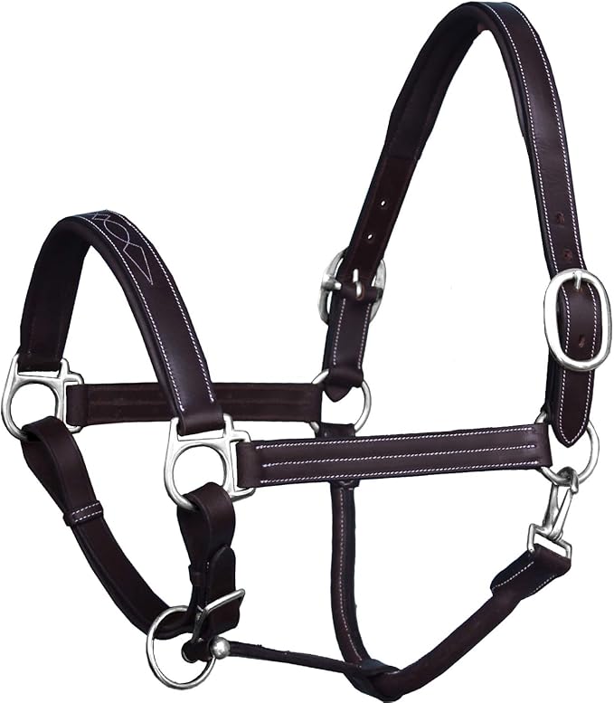 Exion Leather Horse Halter with Fancy Stitching | Black & Brown Padded Halter with Silver Brass Hardware | Quick-Release Snap | Adjustable Leather Halter – Cob, Full, Over, Pony Sizes-PawvioPets