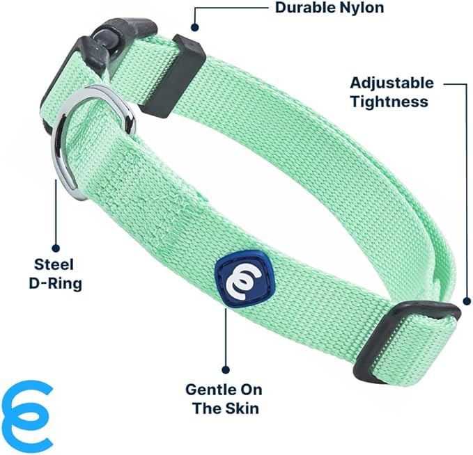 Blueberry Pet Essentials Small Dog Collar in Pastel Green | Adjustable & Eco-Friendly Durable Nylon Strap | Classic Collar for Small Dogs, Boy & Girl Pets-PawvioPets