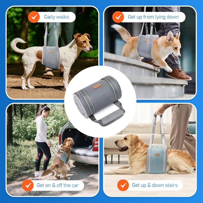 Dog Lift Harness for Small Dogs, Adjustable Dog Sling for Back Legs, Hip Support Harness to Help Lift Dogs Rear for Canine Aid and Old K9 Cruciate Ligament Rehabilitation - Small, Grey-PawvioPets