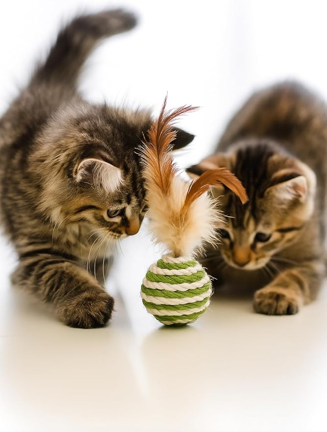 Ball for cat with Feathers - Balls for Cats– Natural Toy for Indoor Cats – Eco-Friendly, Durable, Interactive Play Balls for Kittens – Pet-Safe Chew & Scratch Toys (Green)-PawvioPets