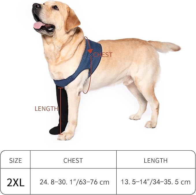 COODEO Dog Socks to Prevent Licking Paws, Healing Boots & Paw Protectors with Non-Slip Bottoms for Wound Protection, Waterproof Sleeve Shoes for Licking（Blue，2XL_Left-PawvioPets