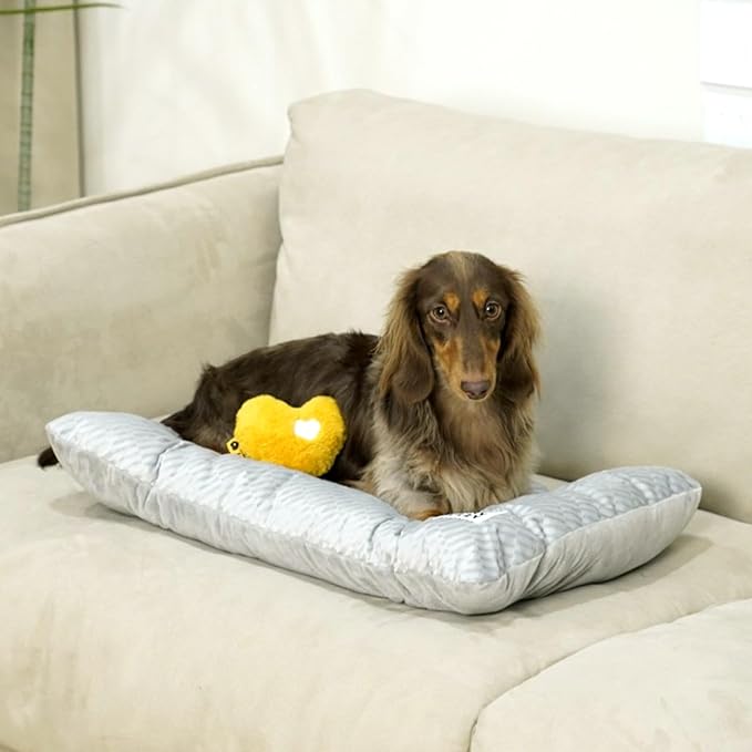 FUNNY FUZZY 2 in 1 Dog Bed Crate Pad Mat, Washable Reversible Floor Pet Mats,Fluffy Kennel Pad for Small Large Sized Dog,Indoor Cats,Sleeping Mattress, 23.6" × 17.9", Light Grey-PawvioPets