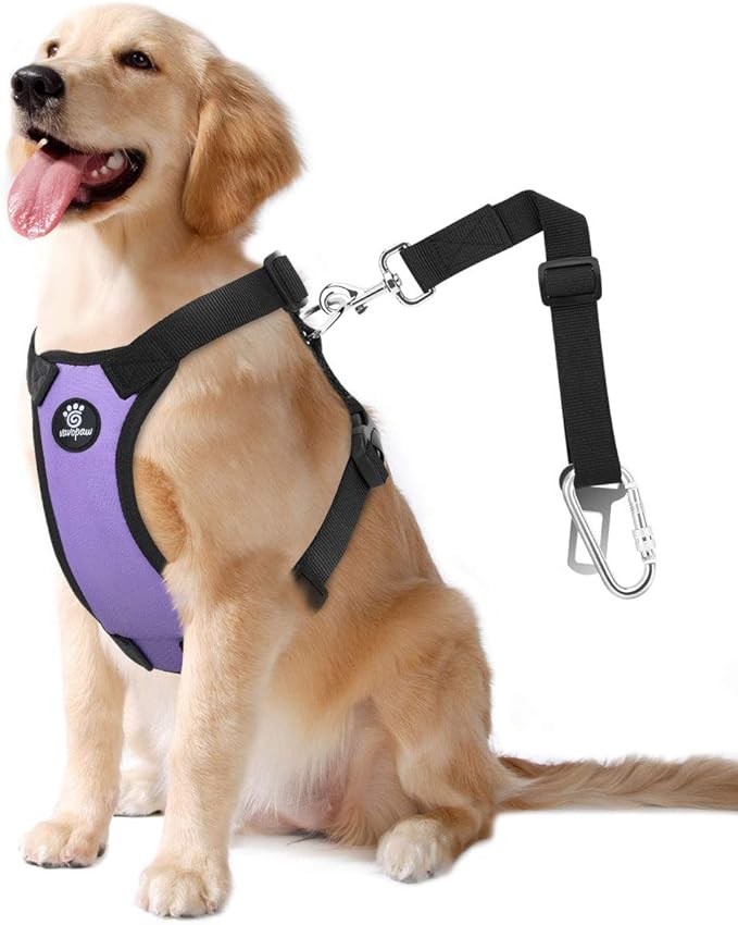 Dog Seat Belt, Safety Vest Dog Car Harness with Adjustable Buckle Dog Seat Belt for Vehicle Nylon Pet Safety Seat Belts Heavy Duty(XL, Purple)-PawvioPets