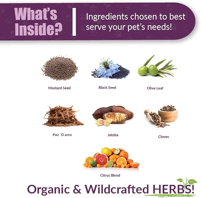 Amber NaturalZ Kochi Free Herbal Supplement for Dogs, Cats, Birds, Guinea Pigs, and Rabbits | Pet Herbal Supplement for Healthy Stool Support | 1 Fluid Ounce Glass Bottle | Manufactured in The USA-PawvioPets