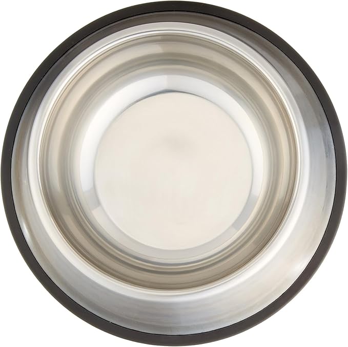 Amazon Basics Stainless Steel Dog Bowl, Single-PawvioPets