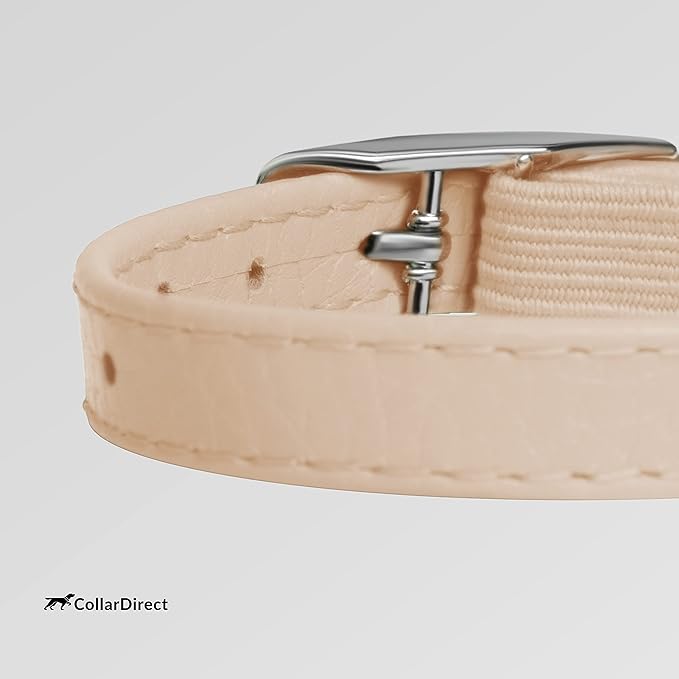 CollarDirect Leather Cat Collar, Kitten Collar with Removable Bell Black Blue Red Orange Lime Green (6-7 Inch, Beige)-PawvioPets