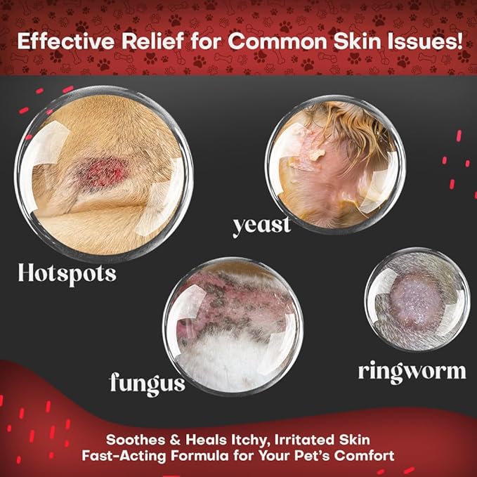 2% Chlorhexidine Wipes for Dogs 3X Larger | Yeast Infection Ringworm Fungus Hot Spot Itch Relief | Medicated Antibacterial Antifungal Extra Gentle Soothing Topical Wipes for Dog Cat | 50 Wipes-PawvioPets