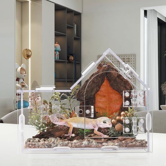 Acrylic Jumping Spider Enclosure - Versatile Reptile Enclosure with One-Click Magnetic Closure, Perfect for Tarantula, Gecko, Chameleon, Beetle, Mantis, and Hermit Crab-PawvioPets