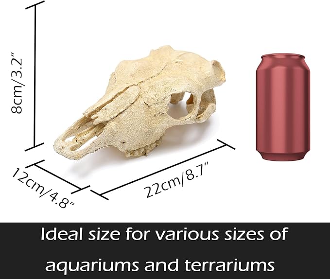 Aquarium Skull Décor Fish Hideout Cave Decorations Betta Tarantula Reptile Snake for Terrarium Ornament Dinosaur Animal Large Bones Halloween-PawvioPets