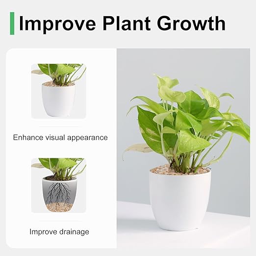 2.5 lbs Coarse Silica Sand for Indoor Plants, 1/5 Inch Natural Decorative Gravel for Vases, Aquariums, Terrarium, Fish Tank, Drainage Rocks for Potted Plants, Bamboo, Succulent, Crafts, Cactus-PawvioPets