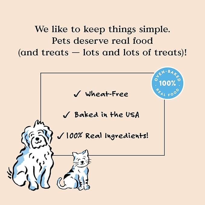 Bocce’s Bakery Dailies Brushy Sticks to Support Oral Health & Fresh Breath, Wheat-Free Dental Bars for Dogs, Made with Real Ingredients, Baked in the USA, All-Natural Coconut & Mint Recipe, Large Dogs-PawvioPets