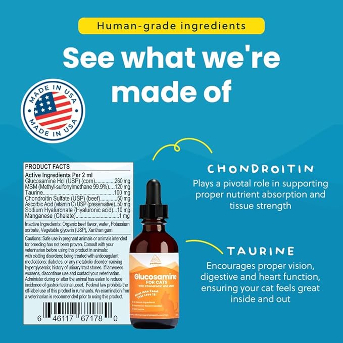 100% Natural Liquid Glucosamine Chondroitin with MSM for Cats, Hip & Joint Supplement for Senior Felines, Arthritis Support & Mobility Booster Glucosamine Drops, 2 Oz-PawvioPets