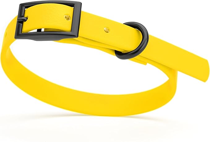 Dogline Biothane Waterproof Dog Collar Strong Coated Nylon Webbing with Black Hardware Odor- Proof for Easy Care Easy to Clean High Performance Fits Small Medium or Large Dogs, Lemon Yellow-PawvioPets