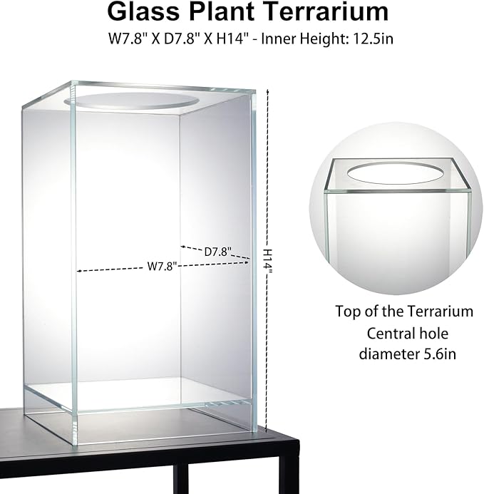 Desktop Glass Plant Terrarium with Grow Light(L7.8 W7.8 H14), for Succulent, Moss, Miniature Gardening Landscape, Betta Fish Tank, Indoor Plant Growth, Office Home Decoration (TimeControlled)-PawvioPets