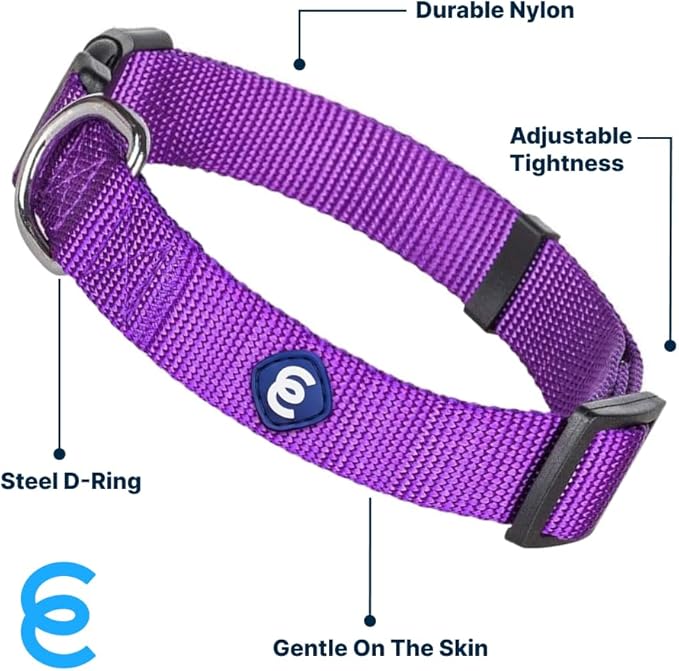Blueberry Pet Essentials Small Dog Collar | Girl Dog Collars Fall | Female Dog Collar Small | Dark Orchid Dog Collars for Small Dogs | Quick Release Dog Collar | Dark Orchid Nylon Dog Collar-PawvioPets