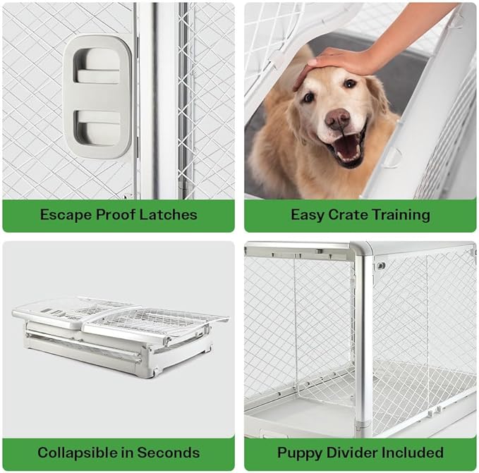 DIGGS Revol Collapsible Dog Crate with Wheels - Premium Portable Dog Crate - Safe, Stylish, and Convenient Indoor Kennel (Ash, Large)-PawvioPets