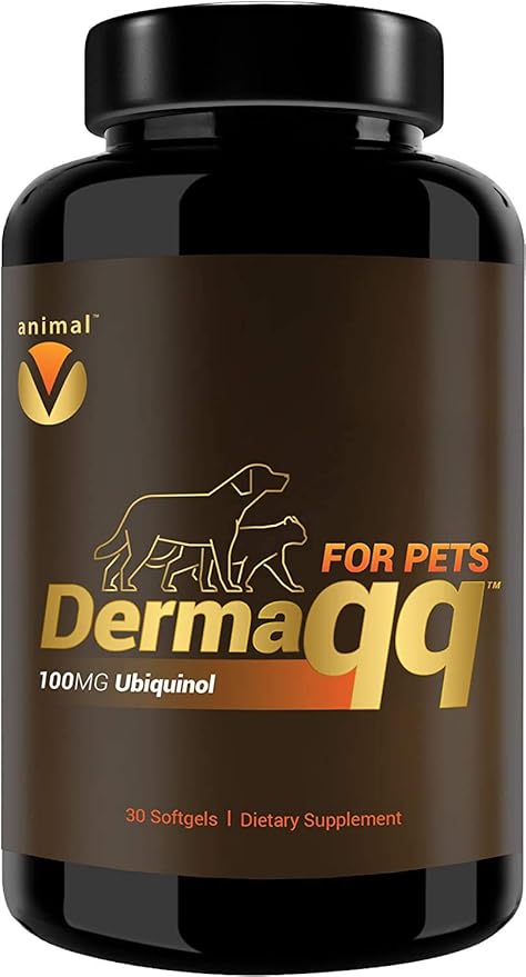 Dermaqq Dog & Cat Hot Spots, Hair Loss, Dermatitis Support-PawvioPets