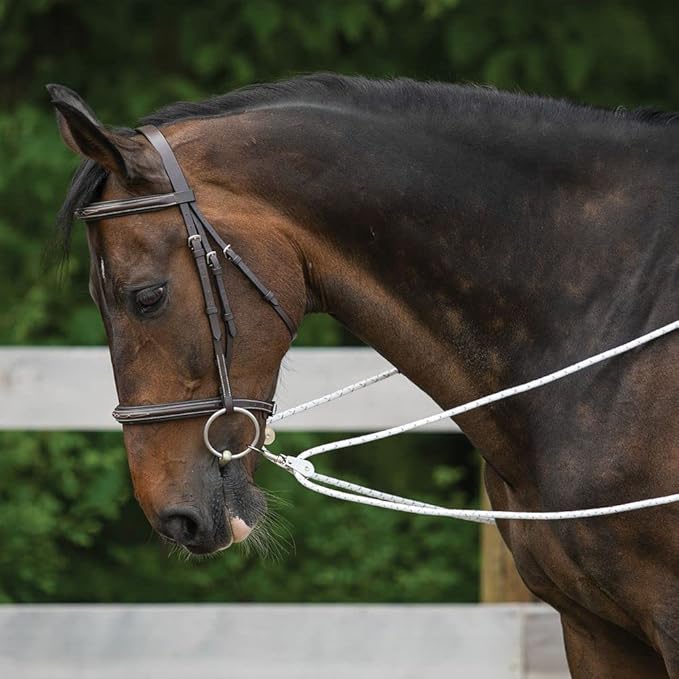 Advanced European Training System | Advanced Training Tool | Enhances Horse Carriage and Headset | Encourages Forward Movement | Strengthens Key Muscles | Not for Beginners-PawvioPets