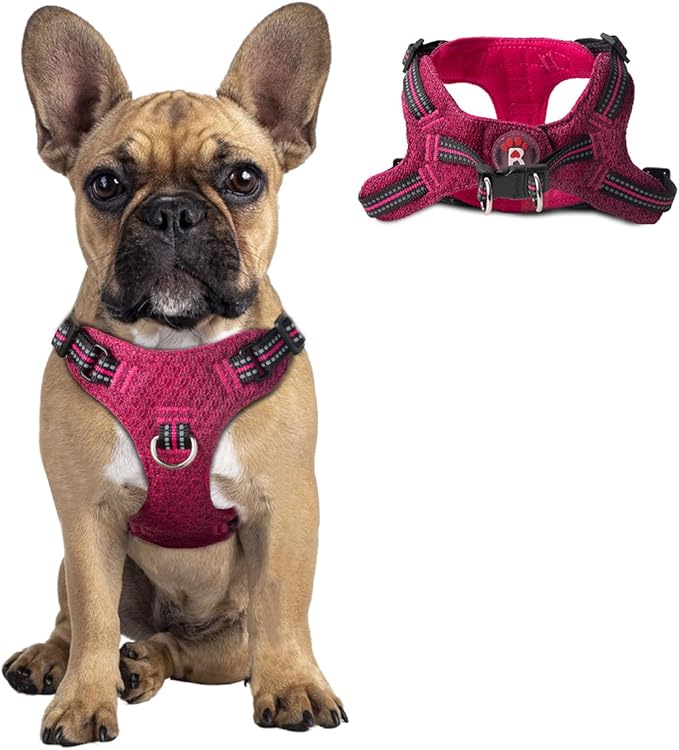 Dog Harness Step in Dog Vest Harness, Reflective Adjustable Puppy No Pull Harness Breathable Soft for Small and Medium Dogs Cats, Pink/Black, S-PawvioPets