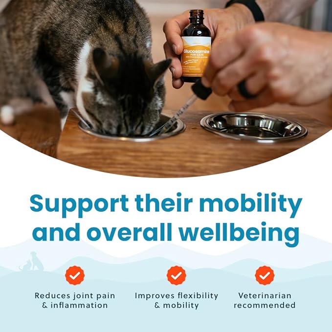 100% Natural Liquid Glucosamine Chondroitin with MSM for Cats, Hip & Joint Supplement for Senior Felines, Arthritis Support & Mobility Booster Glucosamine Drops, 2 Oz-PawvioPets