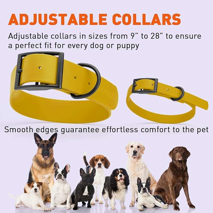 Dogline Biothane Waterproof Dog Collar Strong Coated Nylon Webbing with Black Hardware Odor- Proof for Easy Care Easy to Clean High Performance Fits Small Medium or Large Dogs, Treasure Gold-PawvioPets