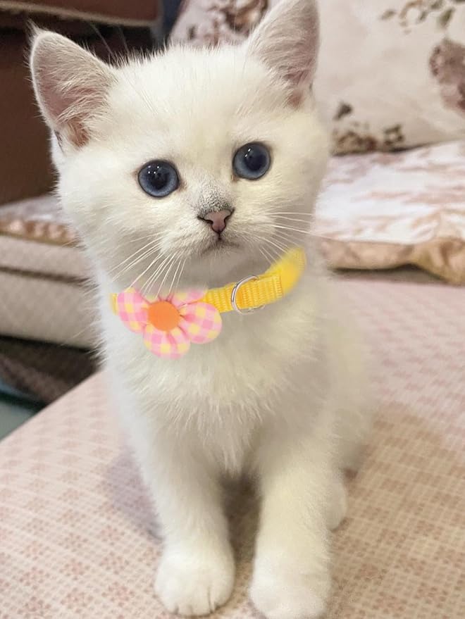 16 PCS Cute Cat Collars Breakaway with Bell for Boy Cats and Girl Cats Gifts (#5-Multicolor Plaid)-PawvioPets