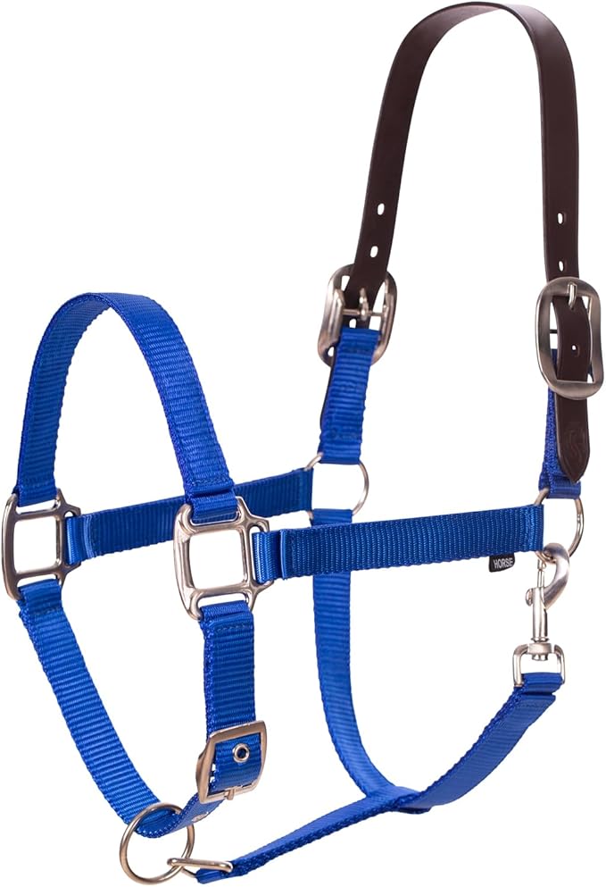 Equinavia Loki Adjustable Breakaway Horse Halter - Royal Blue - Horse-PawvioPets