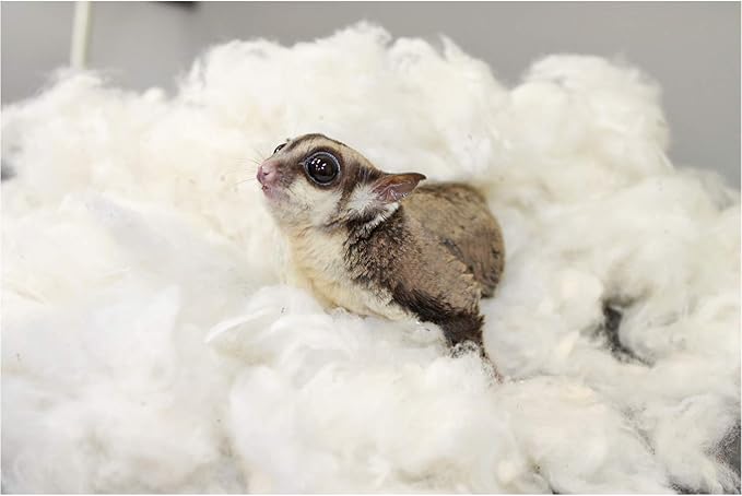 All-Natural Nesting Material (4 oz.) - 100% Cotton Eco-Friendly Animal Bedding - For Sugar Gliders, Squirrels, Hamsters, Rabbits, Chinchillas, Rats, Mice, Gerbils, Guinea Pigs and Other Small Pets-PawvioPets