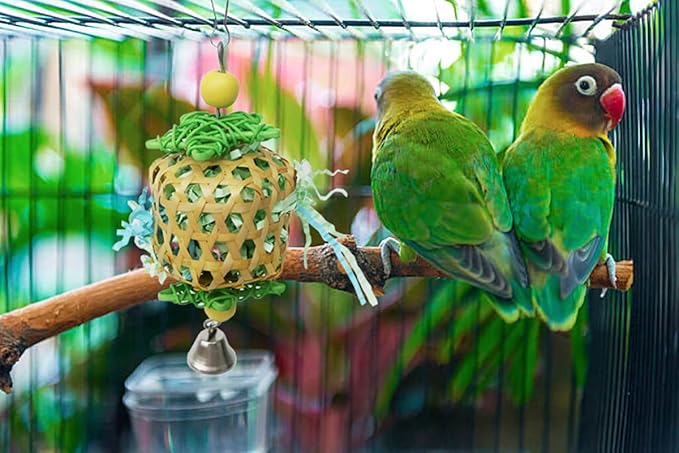 Bird Toys for Conures Parakeet, Birds Cage Accessories, Bird Shredding Foraging Toys for Cage-PawvioPets
