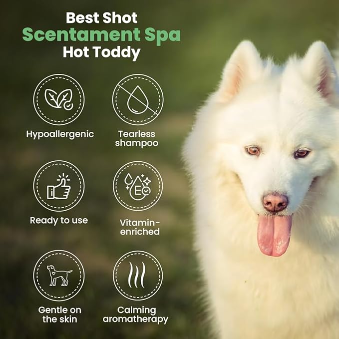 Best Shot Scentament Spa Seasonal Body and Facial Wash, Tearless Shampoo, Hypoallergenic Body Wash, Removes Tear Stains, Hot Toddy, 16 Oz.-PawvioPets