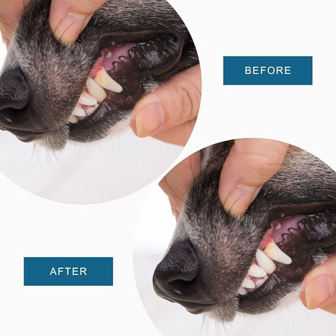 Dog Breath Freshener, 8 oz - Fights Plaque, Tartar & Bad Breath - Gentle Gum Care & pH Balance - Dog Dental Care for Cat and Dog - No-Brush Solution-PawvioPets