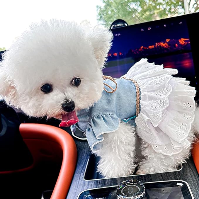 Girl Dog Denim Dress with Flared Sleeves Dog Jeans Jacket Blue White Puppy Clothes for Small Dogs Cat Apparel Cake Skirt Pet Outfit (Blue, Small)-PawvioPets