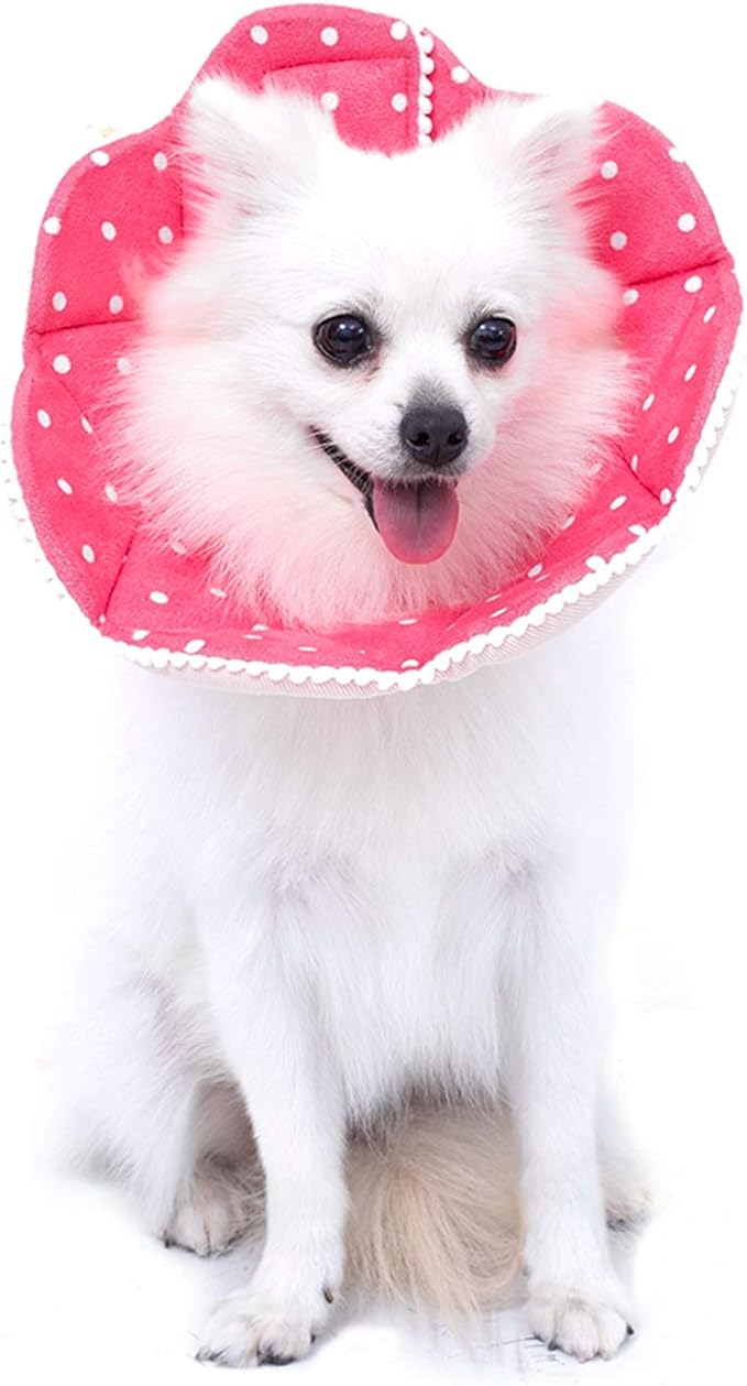 Adjustable Dog Cat Cone,Soft Recovery Cat Cone Collar,Dog Protective Collar for Cats,Puppy and Small Dogs,Pink-PawvioPets